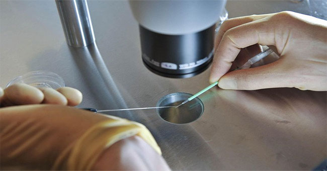 The world's first genetically modified twin girls, able to fight HIV infection