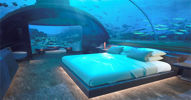 The world's first undersea hotel, where you can sleep next to sharks ...