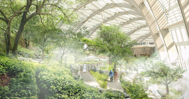 The world's largest botanical garden on Oman desert