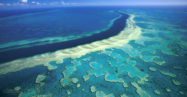 The world's largest coral reefs face the risk of permanent wiping
