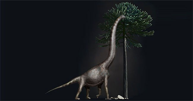 The world's largest dinosaur footprint has been identified