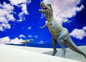 The world's largest tyrant dinosaur skeleton is auctioned