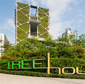 The world's largest vertical garden