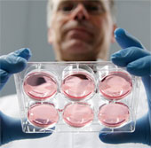 The world's most expensive artificial meat tastes great