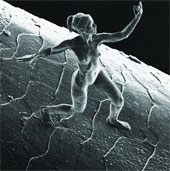 The world's smallest sculpture