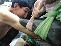 The world's tallest person saves dolphins