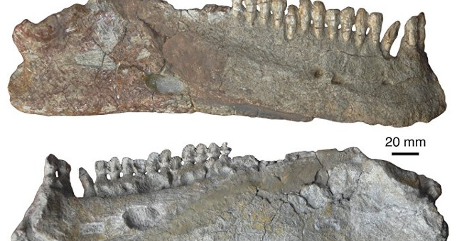 The world's worst-known creature before dinosaurs