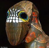 The worm has a skull-shaped face