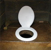 The worst job in the world: Appraising odor of toilet