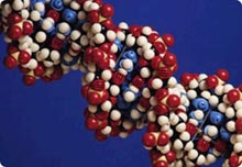 The X Prize held a $ 10 million prize for fast decoding of human genes