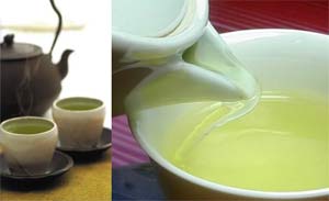 Theanine's effect in tea