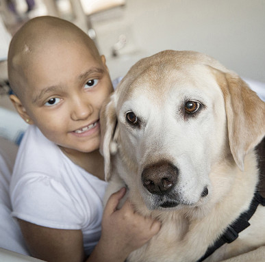 Therapy dogs can help reduce anxiety, regulate blood pressure and heart rate