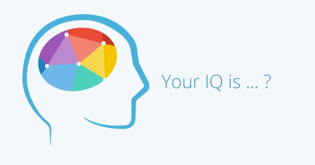 There are 8 types of intelligence and everyone owns at least 2 types