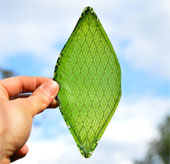 There are artificial leaves that can be photosynthesized like true leaves