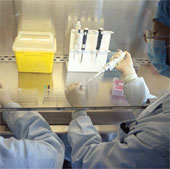 There are drugs that can treat bird flu H7N9