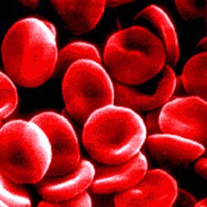 There are more than 4,000 different substances in the blood