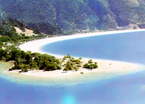 There are signs of pollution along the Gulf of Tonkin