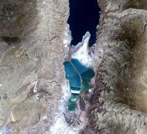 There are still creatures living in the Dead Sea