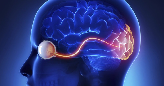 There has been a way to help people with brain injury regain their eyesight