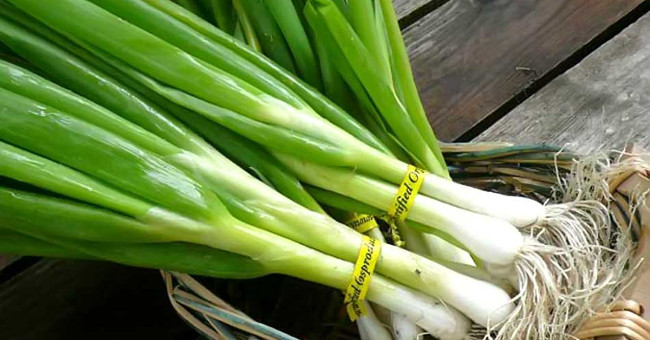 There is a syndrome that makes us unable to eat onions