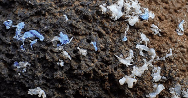 There is an entirely new form of pollution in plastic and it is causing a headache for the scientific community