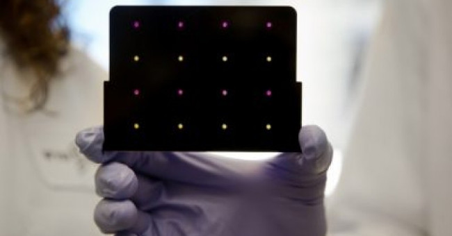 There is very cheap therapy to detect Zika virus