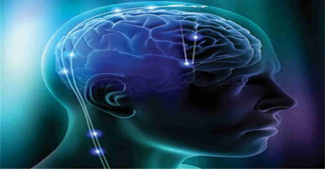 There was a way to regain the ability to learn 'productivity' like children