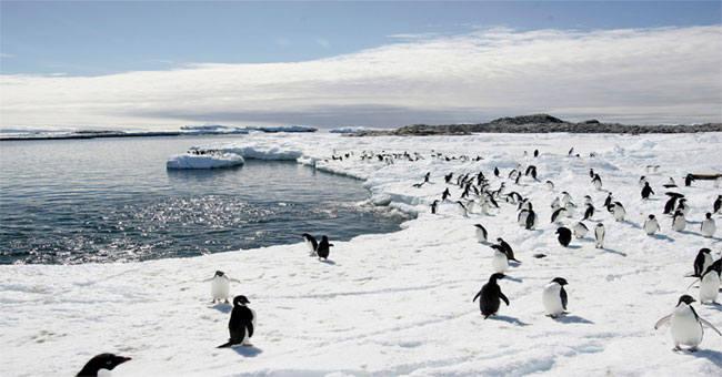 There will be the world's largest marine reserve in Antarctica