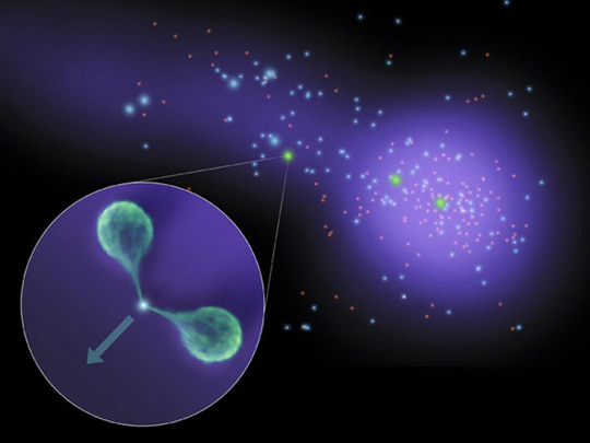 These exciting scientific discovery in 2010