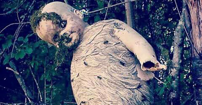 These photos show you nature has never been so scary