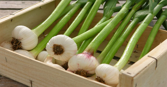 These super foods should not be missed in the spring