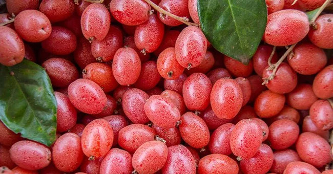 Things to avoid when eating fruitful things you should know