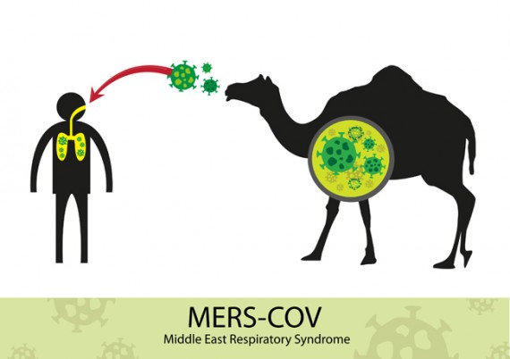 Things to know about dangerous diseases Mers