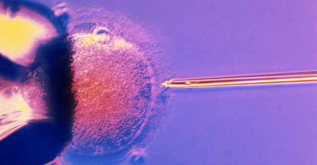 Things to know about in vitro fertilization