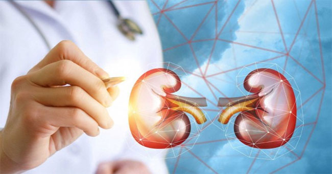 Things to know about kidney transplants