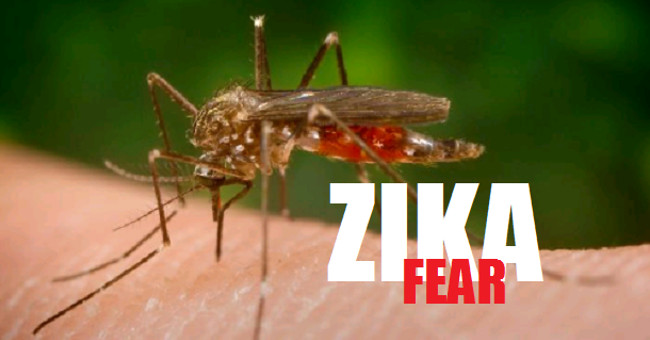 Things to know about Zika virus infection in children