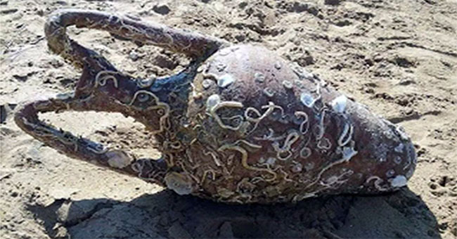 Thinking of 'head of people', visitors accidentally found rare ancient bottles