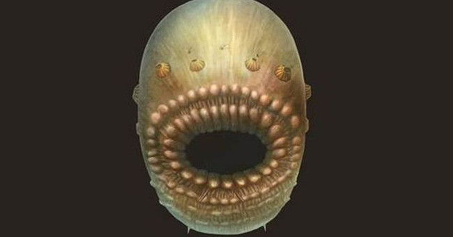 This horror creature turns out to be the oldest human ancestor