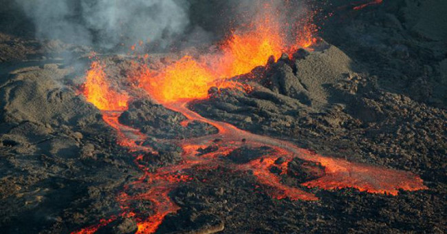This is Earth's worst mass extinction disaster