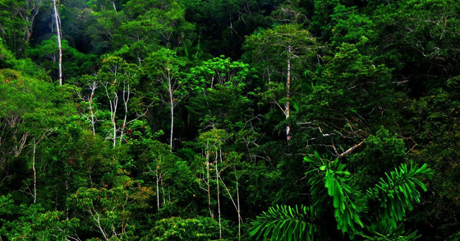 This is the last shield to minimize the effects of climate change?