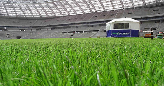 This is the reason why 2018 World Cup final will use the grass field.