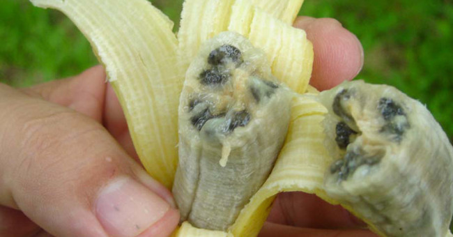 This is the reason you may never eat bananas again