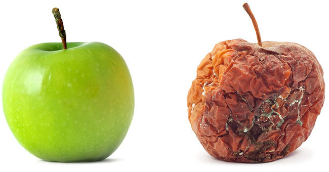 This is the technology that helps the most delicious fresh fruit