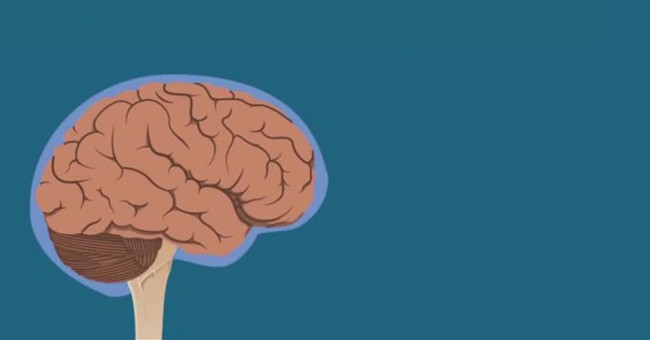 This is what happens to the brain when you are hit on the head
