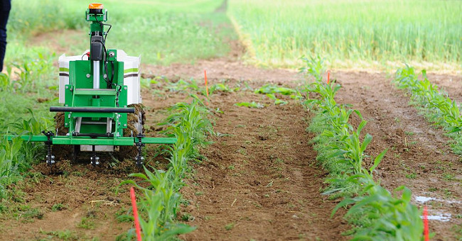 This small robot will revolutionize agriculture