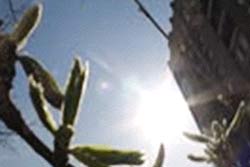 This summer will be hot record