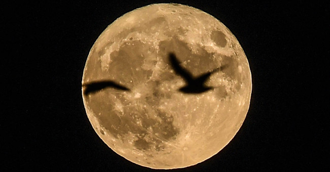 This weekend, we will see super moon