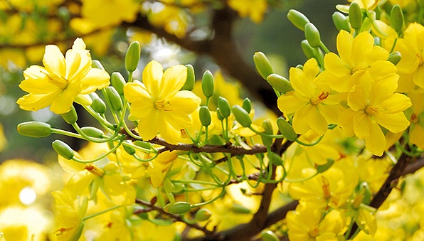 This year has been the earliest spring season since 1896