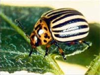 Thousands of chemicals need to be re-evaluated for toxicity