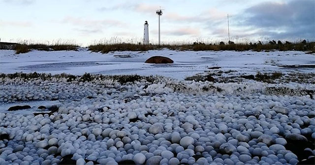 Thousands of ice balls cover the coast of Finland